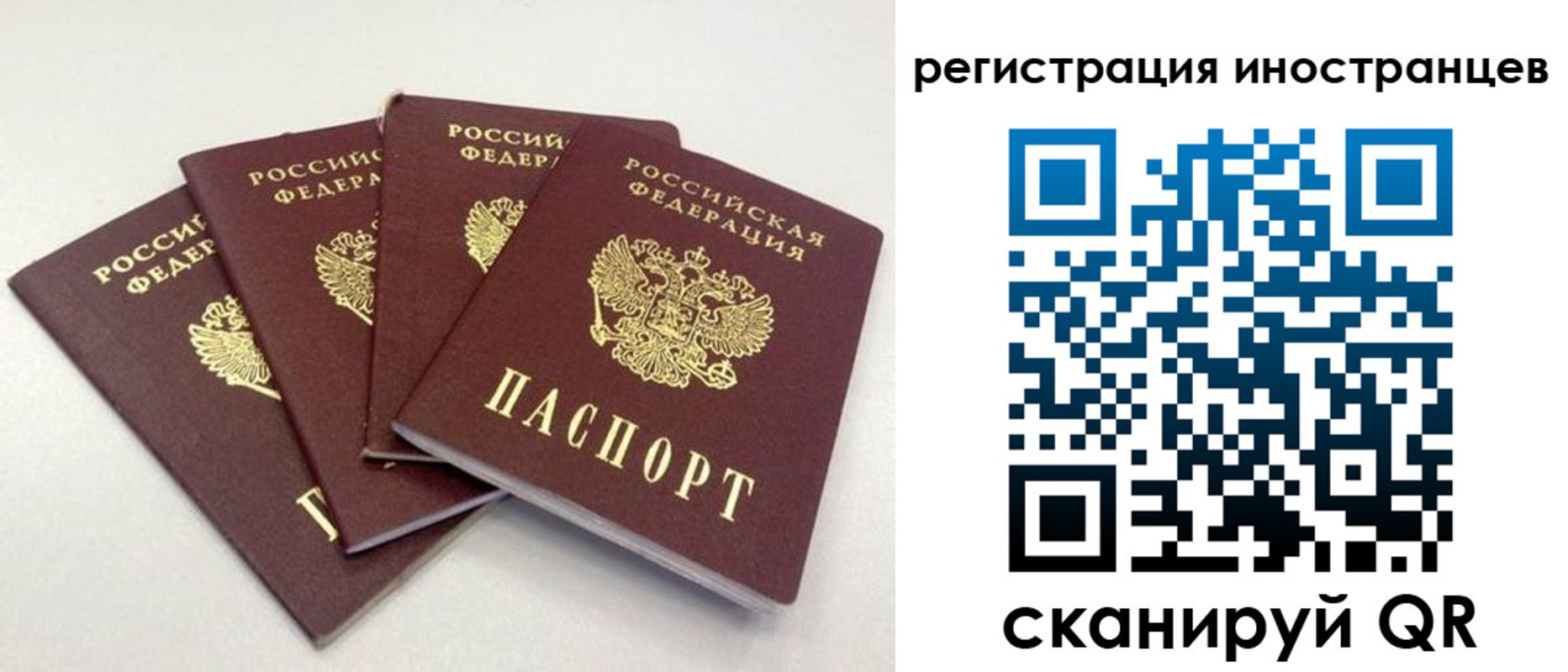 временная регистрация для школы в Острогожске